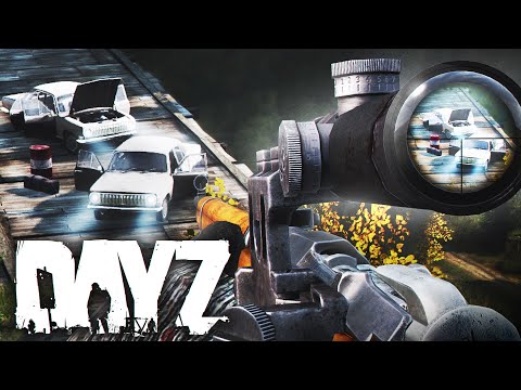 Видео: Остановил конвой одним патроном - DayZ