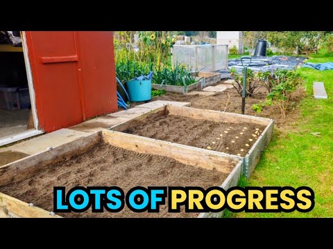 Видео: Целый день на огороде 🌱 Посадка лука и проба американского обеда MRE!