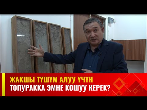 Видео: Жакшы түшүм алуу үчүн топуракка эмне кошуу керек? | АГРО ЧАРБА