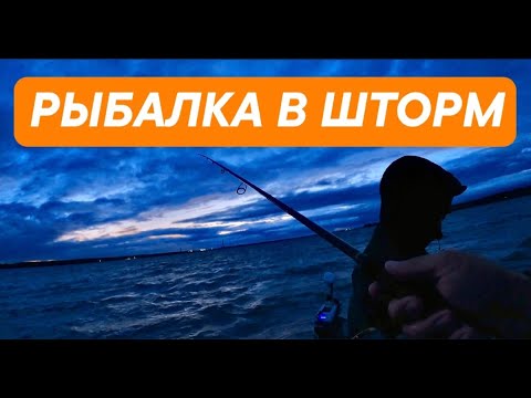 Видео: Здесь рыбы нет. Рыбалка в шторм