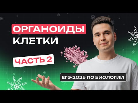 Видео: ВСЕ ОРГАНОИДЫ КЛЕТКИ (ЧАСТЬ 2) ДЛЯ ЕГЭ ПО БИОЛОГИИ | Зимняя школа | NeoFamily