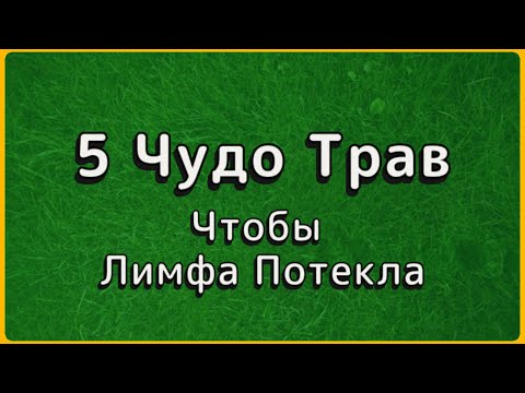 Видео: ВСЕ БОЛЕЗНИ ИЗ ЗА ЗАСТОЯ ЛИМФЫ! 5 Трав Которые Запустят Её За 2 Недели.