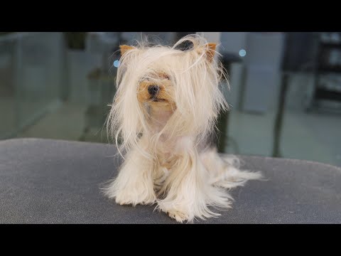 Видео: о нет! Статическое электричество!