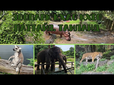 Видео: Открытый Зоопарк Кхао Кхео. Паттайя. Таиланд | Khao Kheow Open Zoo. Pattaya. Thailand