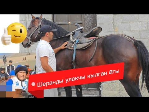 Видео: Ат сатылды