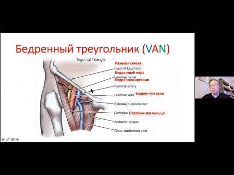 Видео: Блокада бедренного нерва