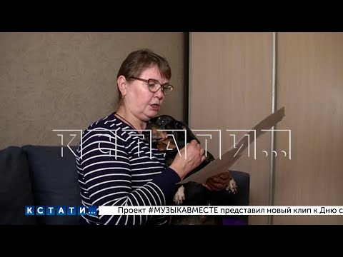 Видео: Принудительное выселение из квартиры по решению суда старой, полуслепой и полуглухой таксы