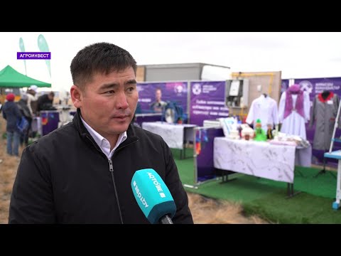Видео: "Агро инвест" хабары 09.11.2025ж