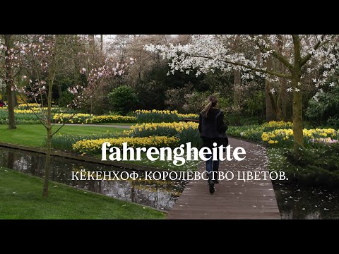 Видео: Кёкенхоф. Парк, полный цветов. Голландия