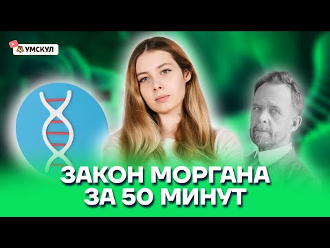 Видео: Закон Моргана за 50 минут | Биология ЕГЭ 10 класс | Умскул