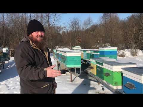 Видео: Прицепы, платформы,быстро , удобно, надёжно!!!