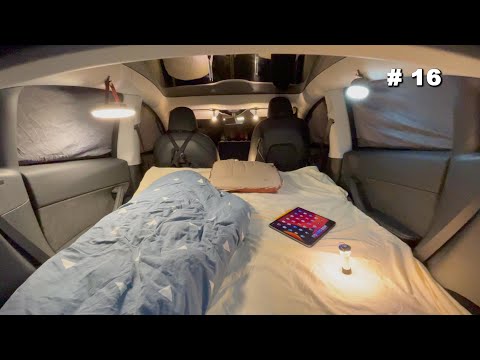 Видео: 0℃ Автомобильный кемпинг при сильном ветре [ Tesla Model Y , уютная обстановка , исцеляющий звук ]