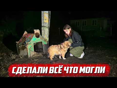 Видео: Сердце кровью обливалось | Курская обл, Щигровский р/н д.Желябовка