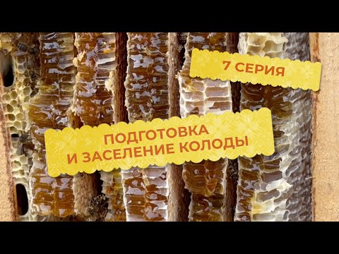 Видео: 7 серия. Подготовка и заселение колоды