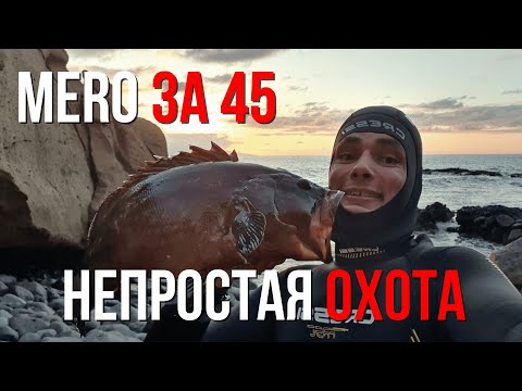 Видео: Моя ХУДШАЯ и ЛУЧШАЯ ПОДВОДНАЯ ОХОТА на Канарах, Тенерифе