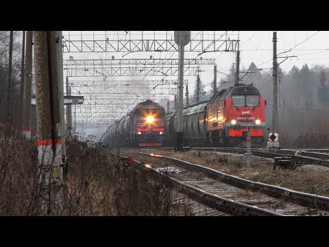 Видео: Тройное скрещение, мегалайнер "Серпухов - Шаховская", старые и новые тепловозы.