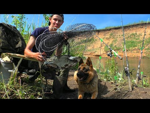 Видео: Наловили рыбу! Летняя рыбалка с ночевкой