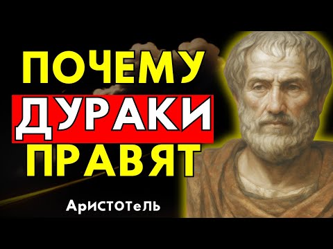 Видео: Почему Общество Всегда Возводит Глупцов К Власти? – Аристотель
