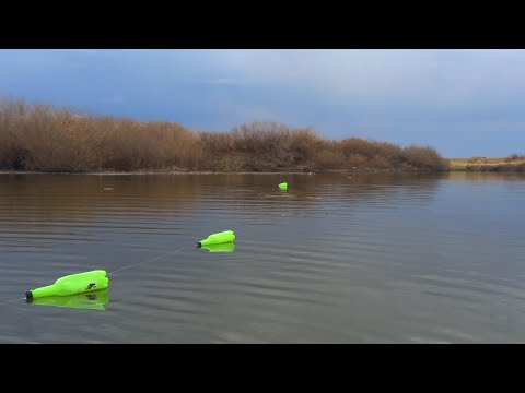 Видео: Клев был просто БЕШЕНЫЙ