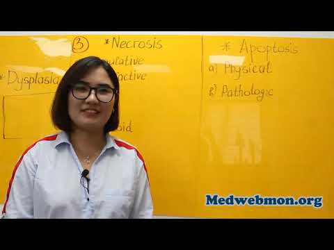 Видео: Эсийн гэмтэл ба дасан зохицол / Cell injury and adaptation (Хичээл №1)