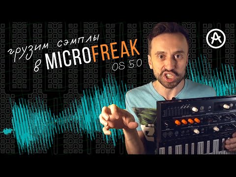 Видео: Сэмплы в MicroFreak - 5 примеров использования!