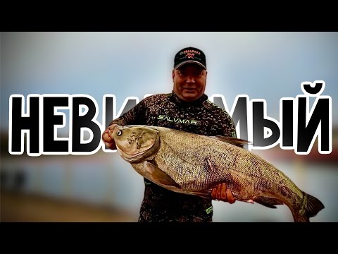 Видео: Трофеии глубин: Подводная охота и отличный улов