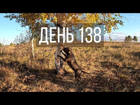 Видео: День 138