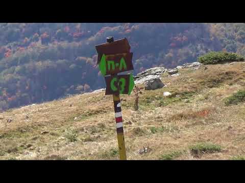 Видео: ОТ ПИРДОП ПРЕЗ ПАСКАЛ ДО СВИЩИПЛАЗ