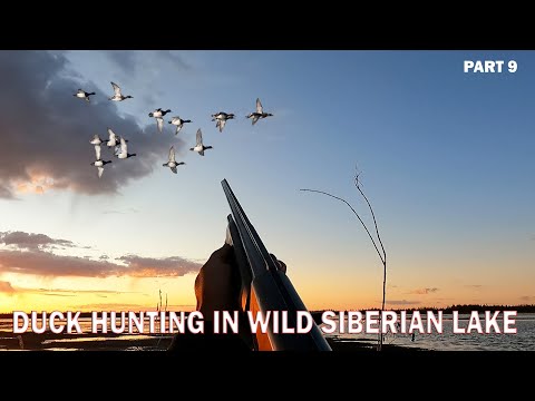 Видео: ОХОТА НА ТУРПАНА НА КОЛЫМЕ 2022. 9 СЕРИЯ