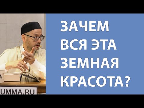 Видео: Великолепие жизни