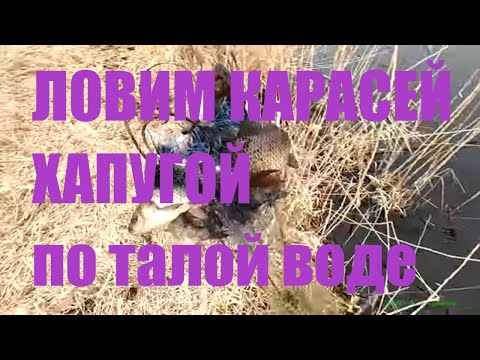Видео: Рыболовная хапуга в деле, по талой воде