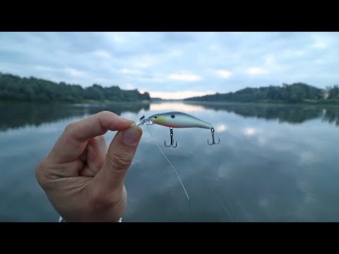 Видео: Рыбалка НОЧЬЮ на ХИТРУЮ ПРОВОДКУ! ГОРБАТЫЙ ЖЕРЕХ гнет крючки! Рыбалка на воблер