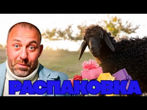 Видео: Мы дома! Что с нашими животными? Наша распаковка.