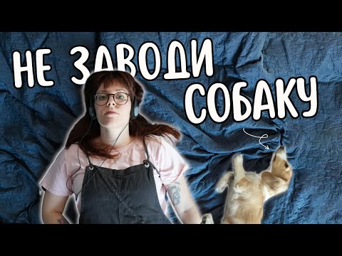 Видео: это была ошибка?