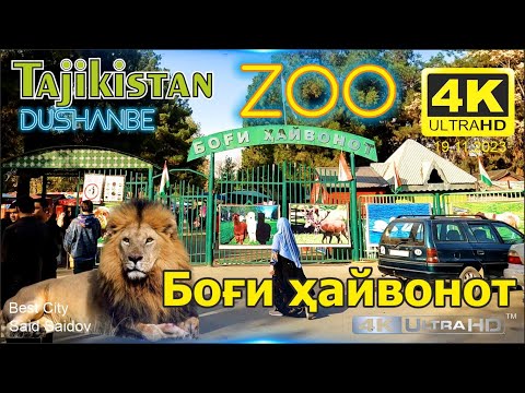 Видео: Dushanbe Tajikistan, Боги хайвонот, ZOO, Зоопарк, Said Saidov #tajikistan #dushanbe #zoo #зоопарк