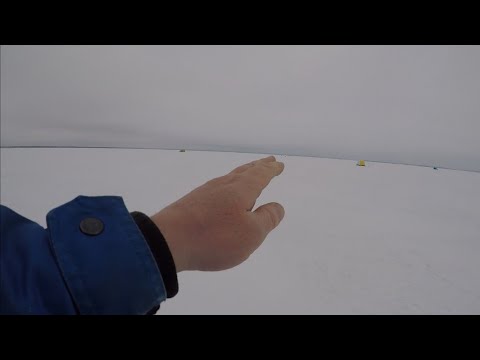 Видео: озеро Уелги! Дробилка или Фермер?! Где лучше ловится карась?