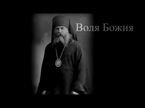 Видео: Митрополит Вениамин     Из того мира