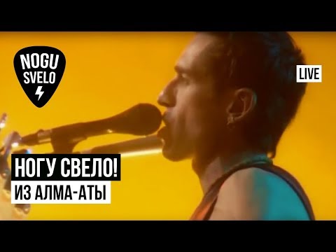 Видео: Ногу Свело! - Из Алма-Аты (Live)