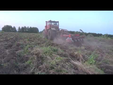 Видео: К 701 с бороной мелиоративной.