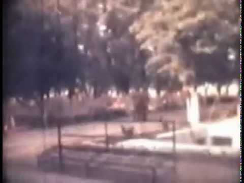 Видео: Наша жизнь в ОВАКОЛУ xvid