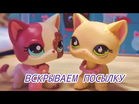Видео: Посылка от общей подруги. Совместно с lps show