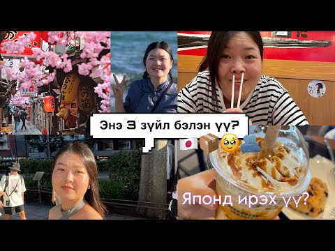 Видео: Японд ирэхээсээ өмнө заавал үз🫂🇯🇵