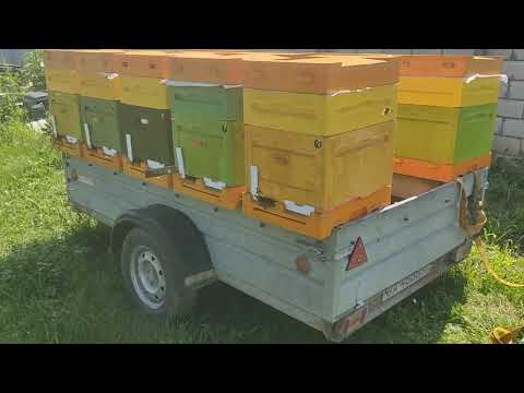Видео: Приспособа для перевозки пчëл в прицеп. Рацуха брата 😁