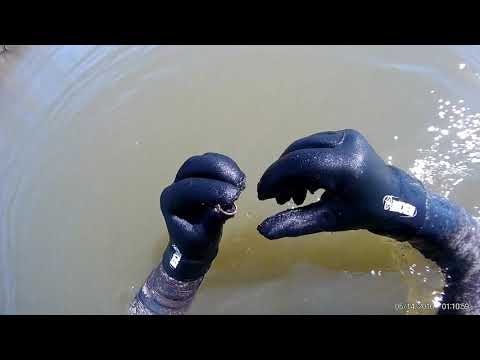 Видео: ПЕРВОЕ ЗОЛОТО СЕЗОНА 2019 с garret at gold!