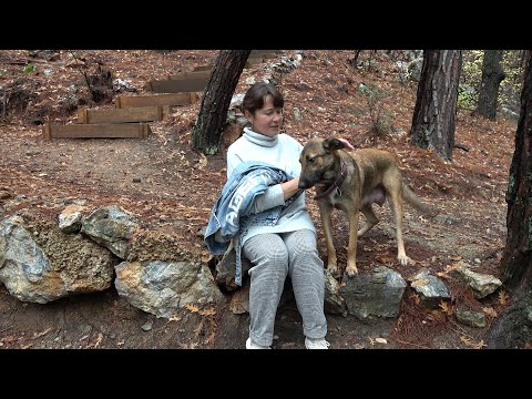 Видео: Аренда машины в Алании. Каньон Сападере! Подъем в горы. И происшествие в горах...