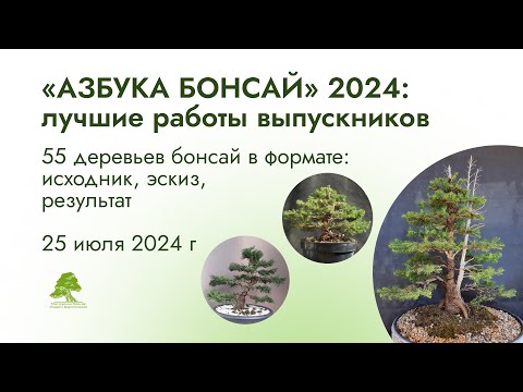 Видео: Лучшие работы курса «Азбука бонсай» 2024
