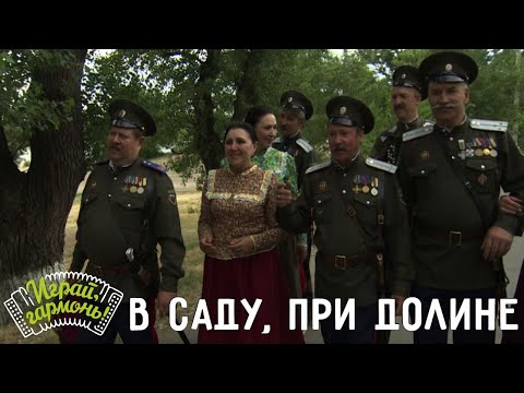 Видео: Играй, гармонь! | Ансамбль «Станичники» (Ростовская область) | В саду, при долине
