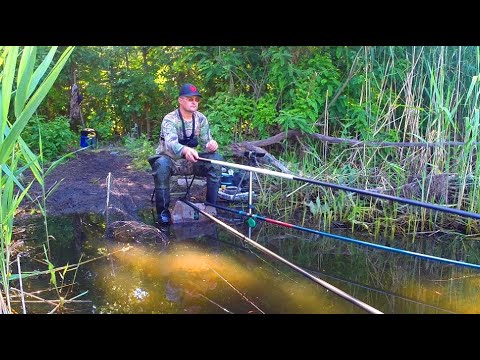 Видео: КІЛОГРАМОВІ КАРАСІ на ПОПЛАВОК, ЦЕ КАЙФ!!! 🐟 Рибалка на карася.🎣 Ловля на поплавок.