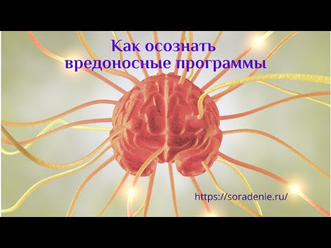 Видео: Как преодолеть вредоносные программы в сознании. #Весталия_сорадение #семантические_поля #белый_свет