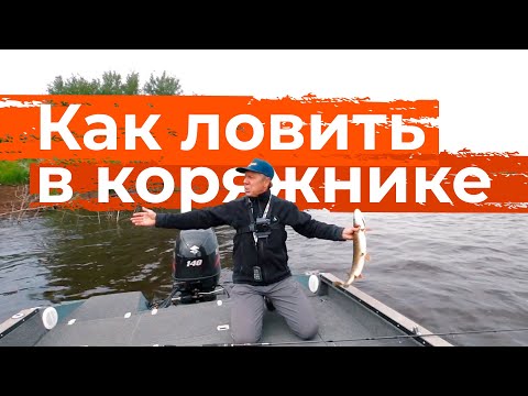 Видео: Как ЛОВИТЬ рыбу в ломовом коряжнике! Судак, берш, щука на поролон.